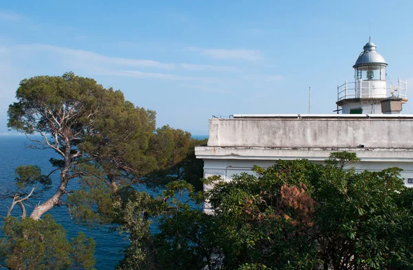 Punta Faro, Faro del Cabo, Portofino, Italia, Europa: vista impresionante y aérea de los pinos marítimos y el histórico Faro de Portofino, construido en 1870 y situado a 40 metros sobre el nivel del mar — Foto de Stock