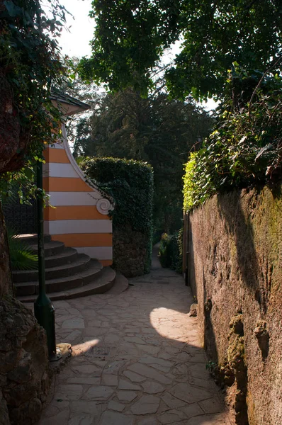 Italia: horizonte y paisaje visto desde el sendero en el acantilado desde el faro hasta Portofino, pueblo pesquero italiano famoso por su pintoresco puerto y las coloridas casas — Foto de Stock