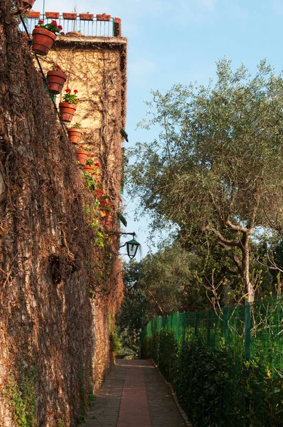 Italien: Gångvägens Pedonale per Paraggi, walking trail på klippan från Portofino till Paraggi, italienska fiskelägen i Ligurien, regionen nordost i Italien — Stockfoto