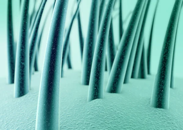 Surface of the skin, hair, hair health, Trichology, dandruff of the hair — Stock Photo, Image