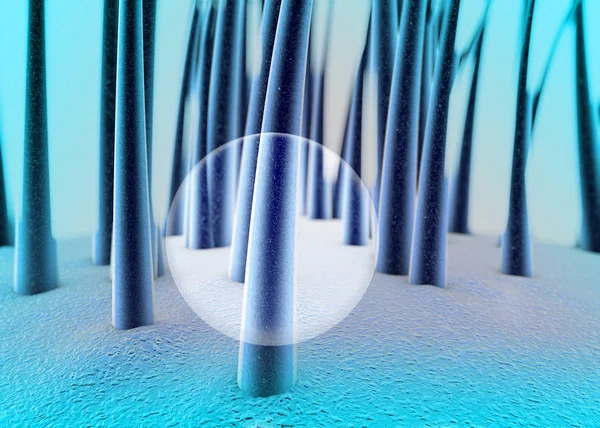 Cilt, saç, saç sağlığı, Trichology, yüzey kepek saç. Saç yapısı