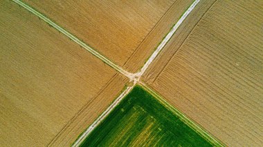 Doğa ve manzara: bir alan, ekimi, yeşil çimen, kırsal, tarım, toprak yol havadan görünümü