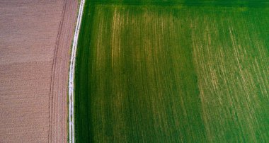 Doğa ve manzara: bir alan, ekimi, yeşil çimen, kırsal, tarım, toprak yol havadan görünümü