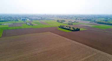 Doğa ve manzara: bir alan, ekimi, yeşil çimen, kırsal, tarım, toprak yol havadan görünümü