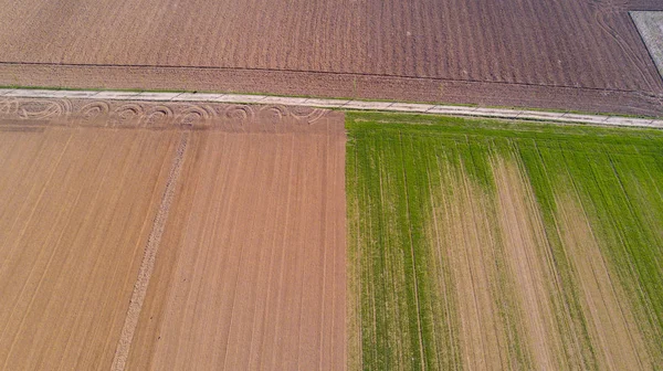 Natureza e paisagem: Vista aérea de um campo, cultivo, grama verde, campo, agricultura, estrada de terra — Fotografia de Stock