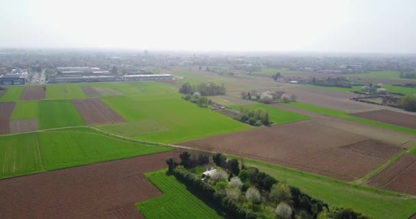 Natur och landskap: Flygfoto över ett fält och träd, odling, grönt gräs, landsbygd, jordbruk, grusväg — Stockvideo