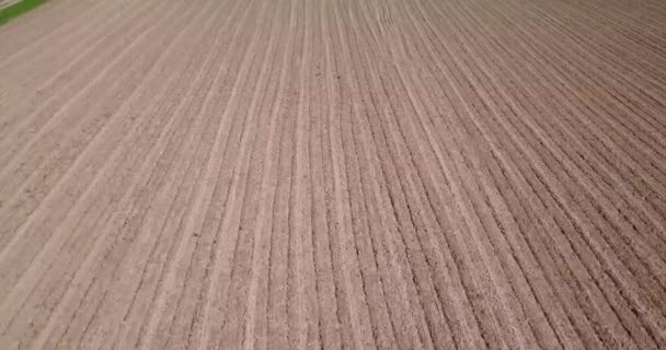 Nature et paysage : Vue aérienne des champs et des champs labourés, culture, herbe verte, campagne, agriculture, chemin de terre 