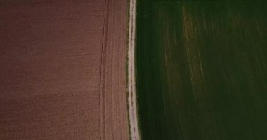 Doğa ve manzara: alanlar ve sürülmüş alanlar, ekimi, yeşil çimen, kırsal, tarım, toprak yol havadan görünümü