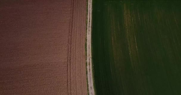 Doğa ve manzara: alanlar ve sürülmüş alanlar, ekimi, yeşil çimen, kırsal, tarım, toprak yol havadan görünümü — Stok video