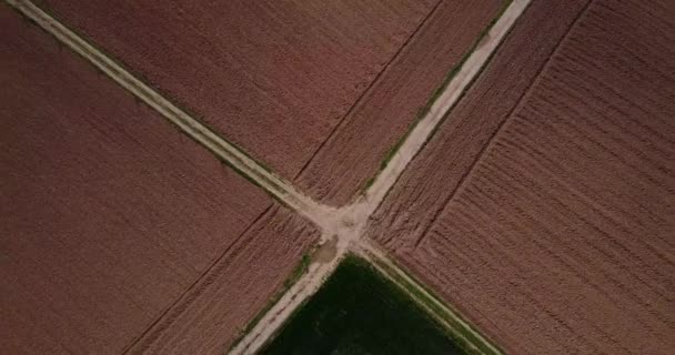 Nature and landscape: Aerial view of fields and plowed fields, cultivation, green grass, countryside, farming, dirt road — Stock Video