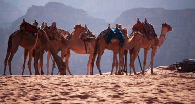Ürdün: Peyzaj ve ay, kumtaşı ve granit kayaya oyulmuş ve Mars gezegeni gibi arıyor ünlü Vadisi Vadisi olarak bilinen Wadi Rum, Çölde deve bir dizi 