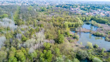 Doğa ve manzara: bir orman ve göl, yeşil ve bir tabiat manzarası ağaçlarda havadan görünümü. Groane Park, Mombello (Laghettone), Limbiate, Milano, İtalya