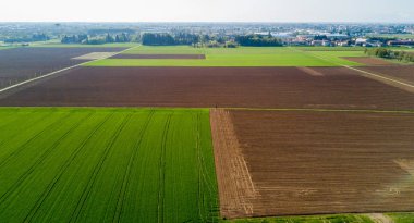 Doğa ve manzara: bir alan, ekimi, yeşil çimen, kırsal, tarım, toprak yol havadan görünümü