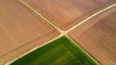 Doğa ve manzara: bir alan, ekimi, yeşil çimen, kırsal, tarım, toprak yol havadan görünümü