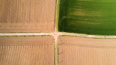 Doğa ve manzara: bir alan, ekimi, yeşil çimen, kırsal, tarım, toprak yol havadan görünümü
