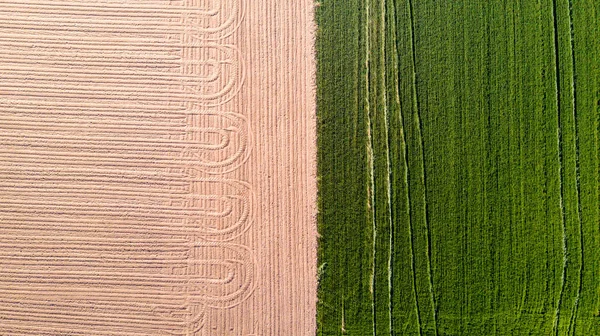 Natureza e paisagem: Vista aérea de um campo, cultivo, grama verde, campo, agricultura, estrada de terra — Fotografia de Stock