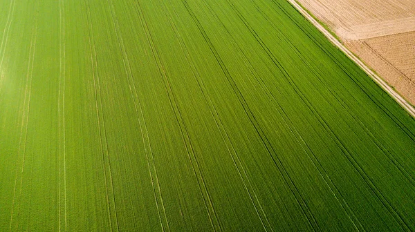 Naturaleza y paisaje: Vista aérea de un campo, cultivo, hierba verde, campo, agricultura, camino de tierra —  Fotos de Stock