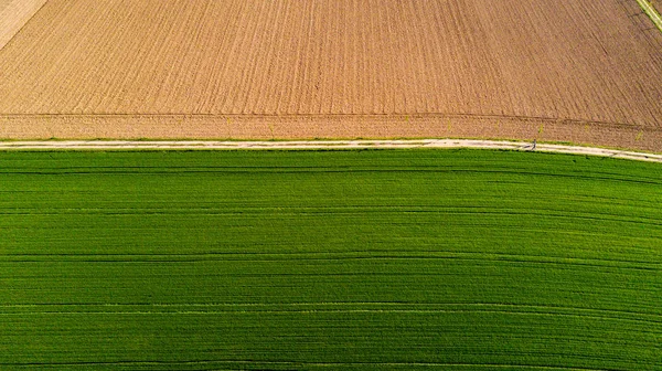 Natureza e paisagem: Vista aérea de um campo, cultivo, grama verde, campo, agricultura, estrada de terra — Fotografia de Stock