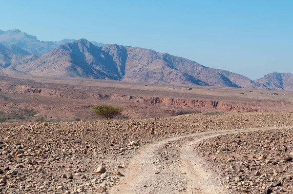 Middle East: tracks in the desert landscape of Dana Biosphere Reserve, the only reserve in Jordan that encompasses different bio-geographical zones, melting pot of species from Europe, Africa and Asia — Stock Photo, Image