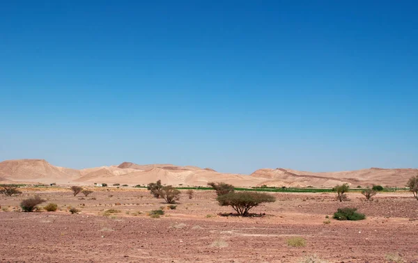 중동: 데 이나 생물권 예비, 다른 생물 지리적 영역, 유럽, 아프리카 및 아시아에서의 용광로 포함 하는 요르단에 있는 유일한 예비의 사막 풍경 — 스톡 사진