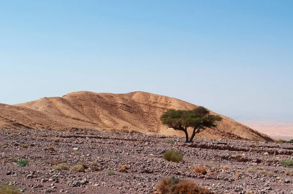 Middle East: the mountain and desertic landscape seen from the road that links the Dana Biosphere Reserve, Jordan\'s largest nature reserve, to the archaeological Nabataean city of Petra