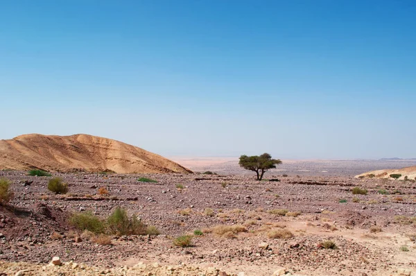 中東: 山と風成層の景観から見た道路ダナ生物圏の予備、ヨルダンの最大の自然保護区は、リンクしているペトラの古代ナバテア人都市 — ストック写真