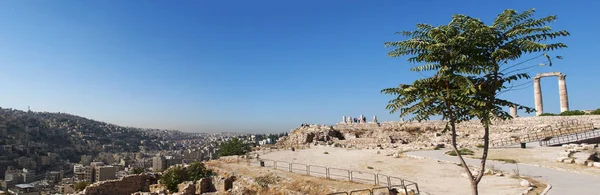 Amman: city skyline, a tree and the ruins of the Temple of Hercules, the most significant Roman structure in the Amman Citadel, the historical site and one of the city\'s original nucleus