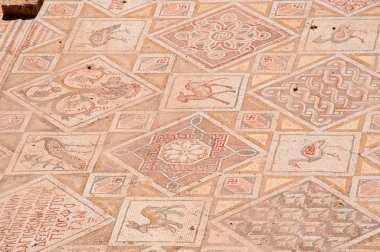 Jordan: arkeolojik şehir, Jerash içinde antik Gerasa bir Roma mimarisinin dünyanın en büyük sitelerin bulunan Bizans Kilisesi mozaikleri ayrıntılarını