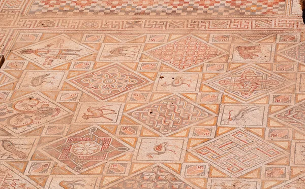 Jordania: szczegóły mozaiki bizantyjskie kościoły, Znalezione w Archeologiczne miasta z Jerash, Gerazie starożytności, jeden z największych serwisów na świecie architektury rzymskiej — Zdjęcie stockowe