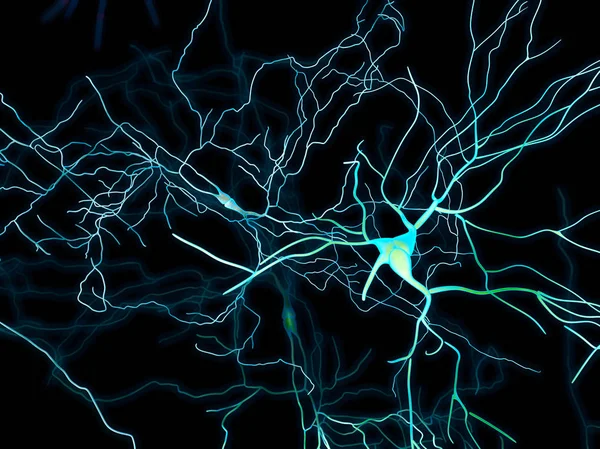 Brain, neurons, synapses, neural network circuit of neurons, degenerative diseases, Parkinson
