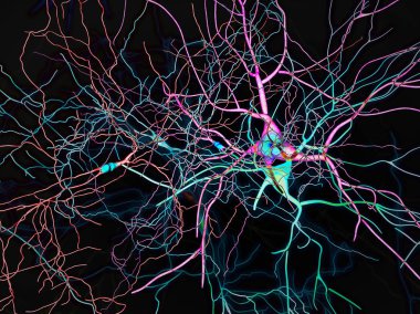Brain, neurons, synapses, neural network circuit of neurons, degenerative diseases, Parkinson clipart