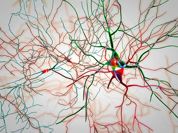 Brain, neurons, synapses, neural network circuit of neurons, degenerative diseases, Parkinson