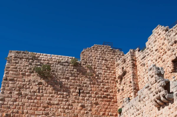 Jordania: vista del castillo de Ajloun, castillo musulmán construido por los ayubíes en el siglo XII, ampliado por los mamelucos, en una colina perteneciente al distrito del Monte Alun en el valle del Jordán — Foto de Stock