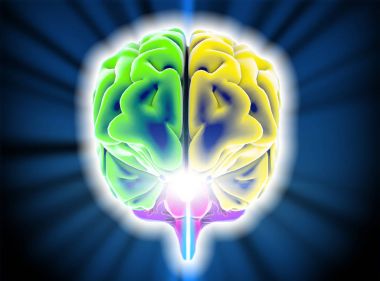 Dejeneratif hastalıklar, Parkinson, beyin synapses, nöronlar, Alzheimer