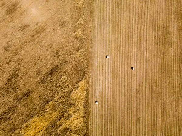 Natur und Landschaft: Luftaufnahme eines Feldes, gepflügtes Feld, Anbau, grünes Gras, Landschaft, Landwirtschaft, Heuhaufen, Heuballen — Stockfoto