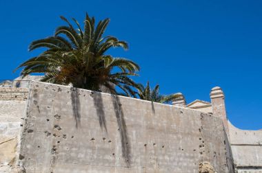 Fas, Kuzey Afrika: palm ağaçlar ve Tangier eski şehir, şehir Mağrip sahil, nexus için pek çok kültür ve Avrupa ve Amerikalı Diplomatlar, casusların ve yazarlar için hedef tarih antik duvar