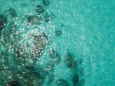 Denizde hava görünümünü taş. Yukarıda, şeffaf su Marnixkade deniz dibinin genel bakış