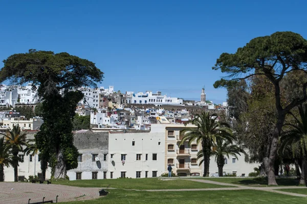 Maroko, Severní Afrika: Panorama Tangeru s jeho jedinečnou směs kultur, po staletí Evropská brána do Afriky, pohledu ze zahrady Mendoubia, slavný veřejný park v historickém centru města — Stock fotografie