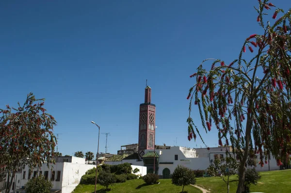 Severní Afrika, Maroko: Sidi Bou Abib mešita, mešita zhlíží oblasti medina Grand Socco Tangeru a zahrad Mendoubia, postavený v roce 1917 a zařízené v polychromované dlaždice — Stock fotografie