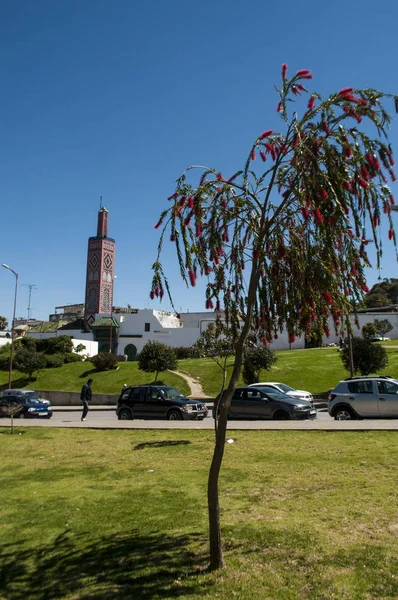 Morocco, North Africa: the Sidi Bou Abib Mosque, a mosque overlooking the Grand Socco medina area of Tangier and the Mendoubia Gardens, built in 1917 and decorated in polychrome tiles — Stock Photo, Image