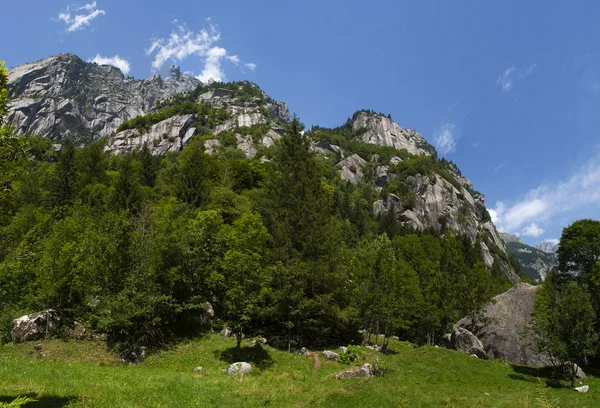 Италия: панорамный вид на долину Мелло, Валь-ди-Мелло, зеленую ванну, окруженную гранитными горами и лесными деревьями, переименованную любителями природы в маленькую долину Иосемит — стоковое фото