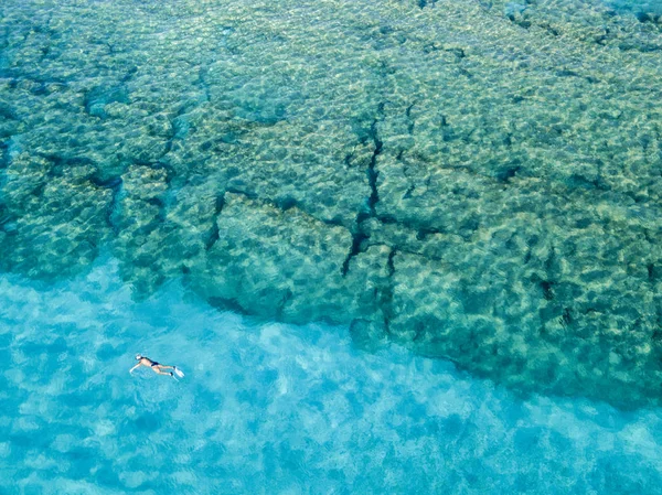 Luftaufnahme von Felsen auf dem Meer. Übersicht des Meeresbodens von oben gesehen, transparentes Wasser. Schwimmer, Badende, die auf dem Wasser schwimmen — Stockfoto