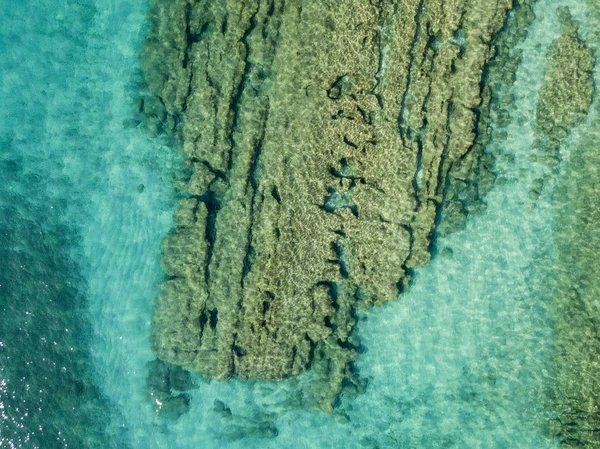 Luftaufnahme von Felsen auf dem Meer. Übersicht des Meeresbodens von oben gesehen, transparentes Wasser — Stockfoto