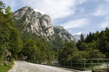 İtalya: Mello vadinin, Val di Mello, granit dağlar ve Orman ağaçları ile çevrili bir Yeşil Vadi Panorama görüş küçük İtalyan Yosemite Vadisi'nden Doğa severler tarafından değiştirildi.