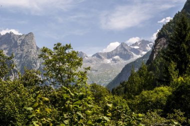 İtalya: Mello Valley, Val di Mello, granit dağlar ve Orman ağaçları ile çevrili bir Yeşil Vadi Dağ doruklarına küçük İtalyan Yosemite Vadisi'nden Doğa severler tarafından değiştirildi.