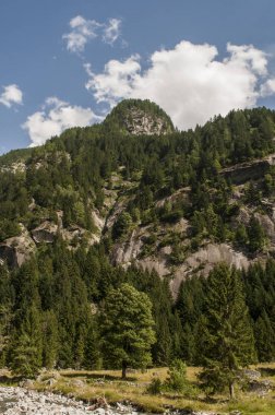 İtalya: Mello vadinin, Val di Mello, granit dağlar ve Orman ağaçları ile çevrili bir Yeşil Vadi Panorama görüş küçük İtalyan Yosemite Vadisi'nden Doğa severler tarafından değiştirildi.
