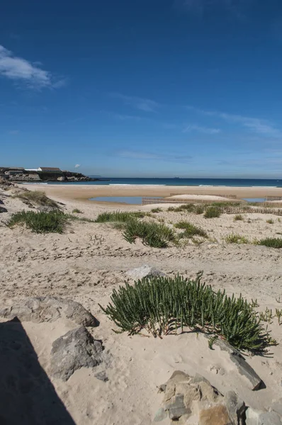İspanya: Playa de los mızrak, Tarifa en büyük plaj, Cebelitarık Boğazı ve Fas, Rüzgar spor için en popüler yerlerinden biri bakan güney kıyısında Şehir