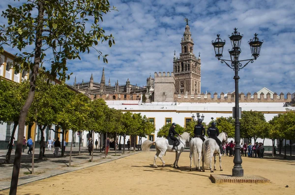 Spanien: Polizisten zu Pferd auf dem Sand im Patio de Banderas (Innenhof der Flaggen), dem Ausgangspunkt des jüdischen Viertels von Sevilla, mit Blick auf den Glockenturm der Giralda — Stockfoto