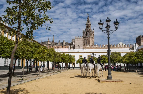 Spanien: Polizisten zu Pferd auf dem Sand im Patio de Banderas (Innenhof der Flaggen), dem Ausgangspunkt des jüdischen Viertels von Sevilla, mit Blick auf den Glockenturm der Giralda — Stockfoto