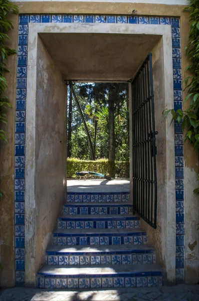 Іспанія: павич в Jardin de Carlos V (сади Карла V) Алькасар Севілья, знаменитий Королівський палац міста, видатним прикладом архітектури мудехар — стокове фото